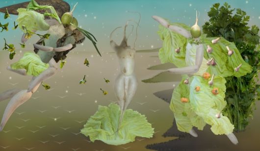 Endangered Species Vegetable Artwork