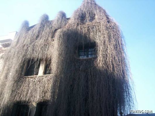 Special Constructions Around the Globe