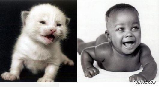 Cute Babies in Cute Combinations