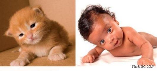 Cute Babies in Cute Combinations