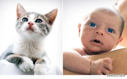 Cute Babies in Cute Combinations