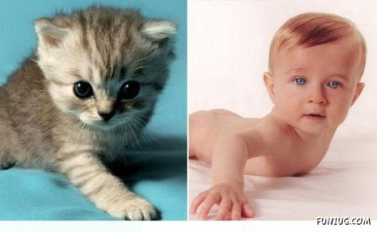 Cute Babies in Cute Combinations