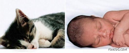 Cute Babies in Cute Combinations