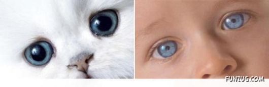 Cute Babies in Cute Combinations