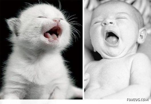 Cute Babies in Cute Combinations