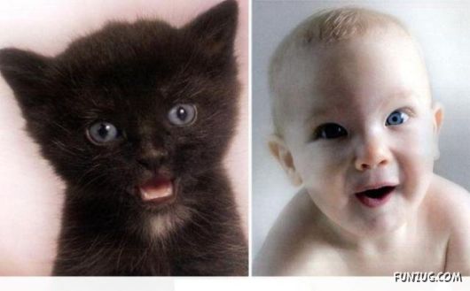 Cute Babies in Cute Combinations