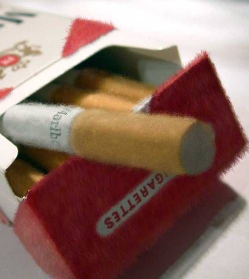 Hair Hair Everywhere: Photoshop Magic