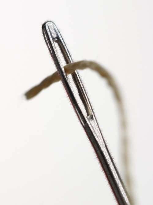 Hair Hair Everywhere: Photoshop Magic