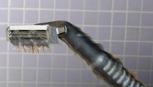 Hair Hair Everywhere: Photoshop Magic