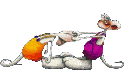 Start your Day with A Smile