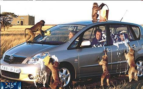 Start your Day with A Smile