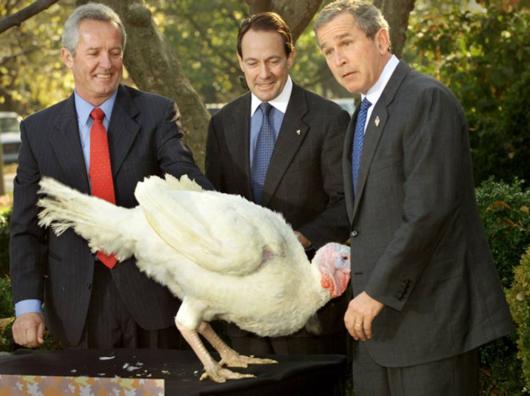 We'll Really Miss This Comedian in White House