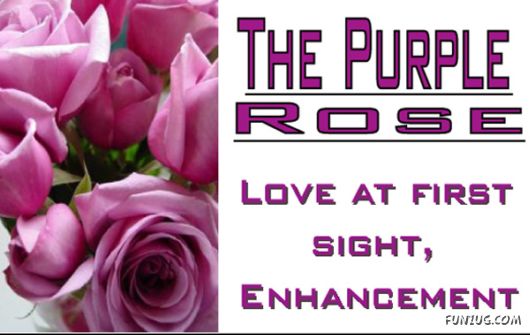 The Significance of Roses