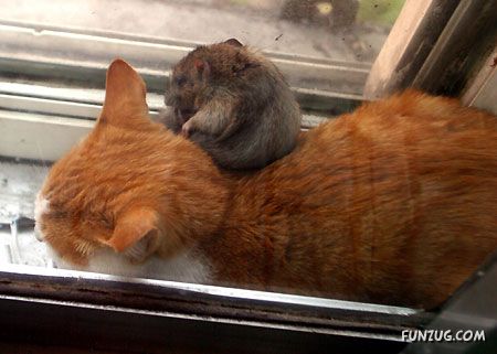 This is Called REAL Friendship