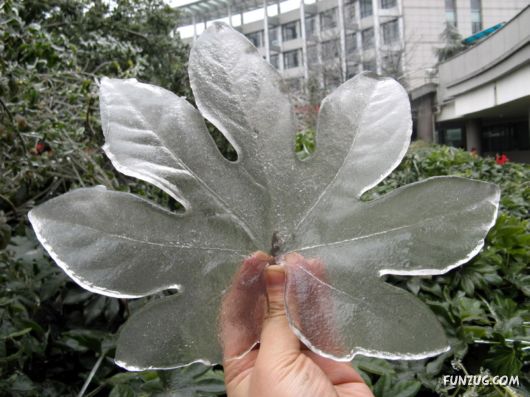 BeautifuL Ice Rain in China