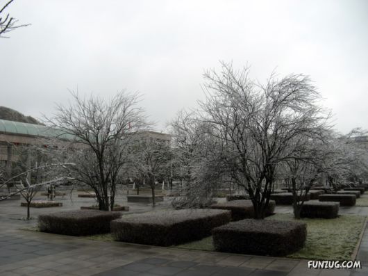 BeautifuL Ice Rain in China