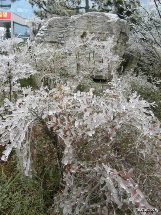 BeautifuL Ice Rain in China