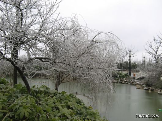 BeautifuL Ice Rain in China
