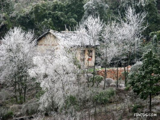 BeautifuL Ice Rain in China