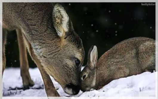 Lets eXpress LoVe in this Way