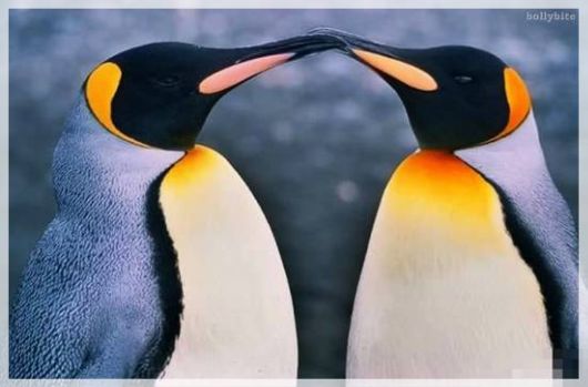 Lets eXpress LoVe in this Way