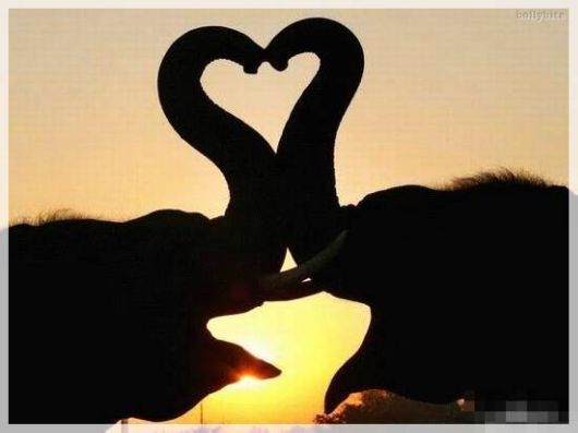 Lets eXpress LoVe in this Way