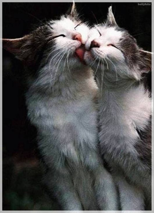 Lets eXpress LoVe in this Way