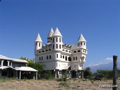 Animals Photography at its Best