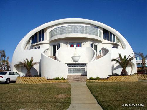 Animals Photography at its Best