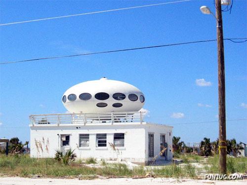 Animals Photography at its Best