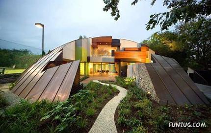 Animals Photography at its Best