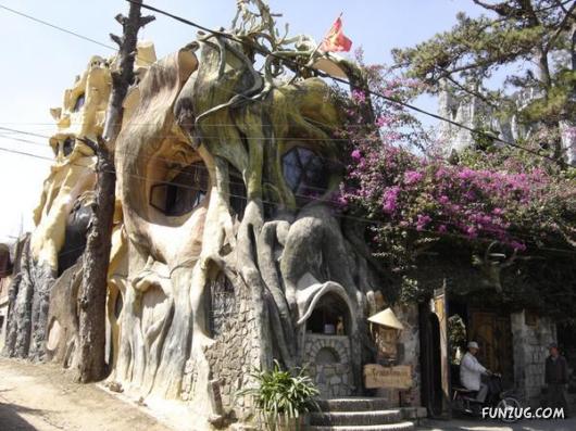 Animals Photography at its Best