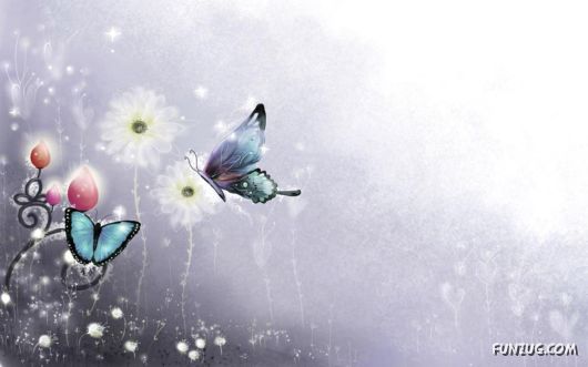 Click to Enlarge - Creative & Artistic Wallpapers