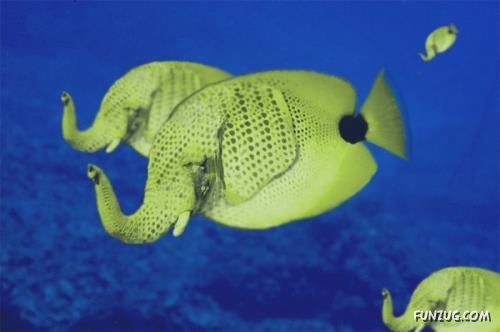 Some Things are Against Nature