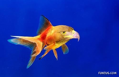 Some Things are Against Nature