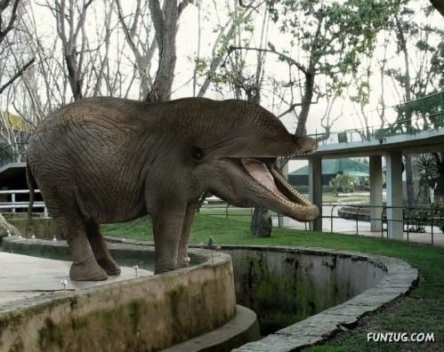 Some Things are Against Nature