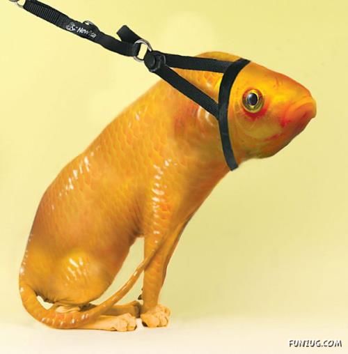 Some Things are Against Nature