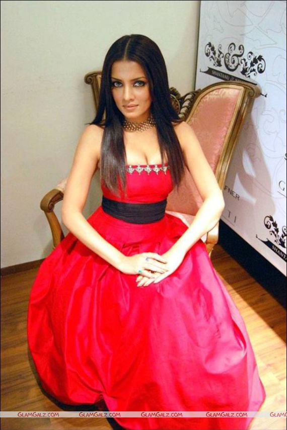 Celina Jaitley Unveils Nakshatra